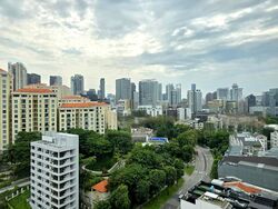 The Imperial (D9), Condominium #477195941